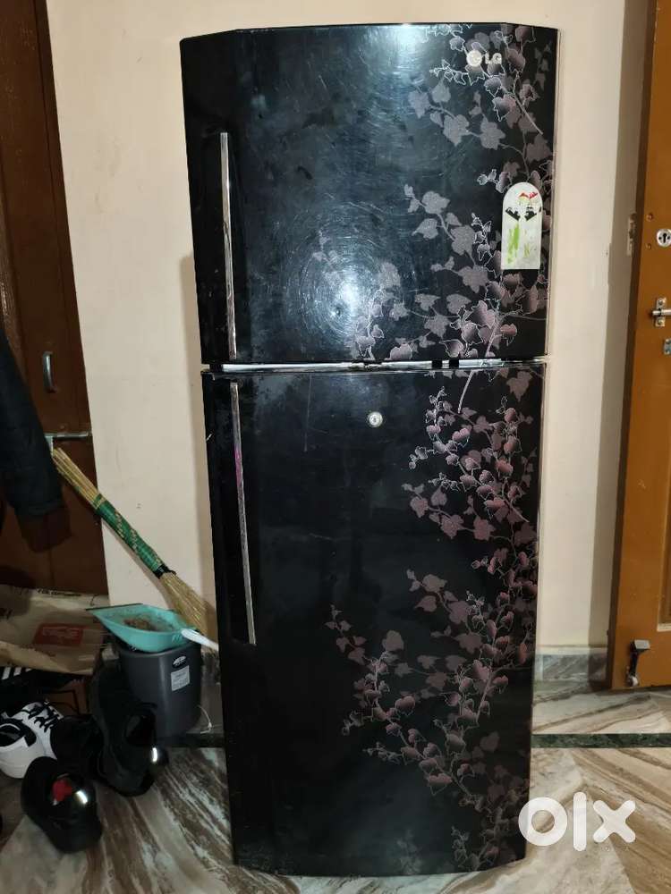 Lg 260 ltrs 4star double door fridge