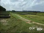 Investment Plot Greater Noida ( Aurangabad Village Plot )