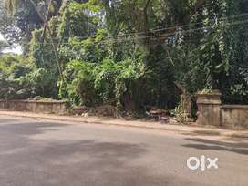 Prime Location - 3000sqmtr Duler Settlement Plot