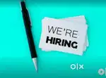 Freshers candidates want online jobs