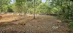 Pullad KuravanKuzhy Near House Plot.