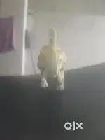 Rocky elephant