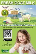 Fresh Goat milk