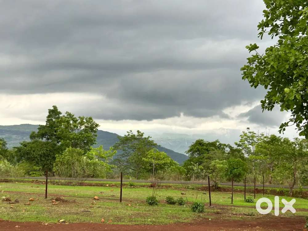 Clear tital toatl land agriculture land project fasility