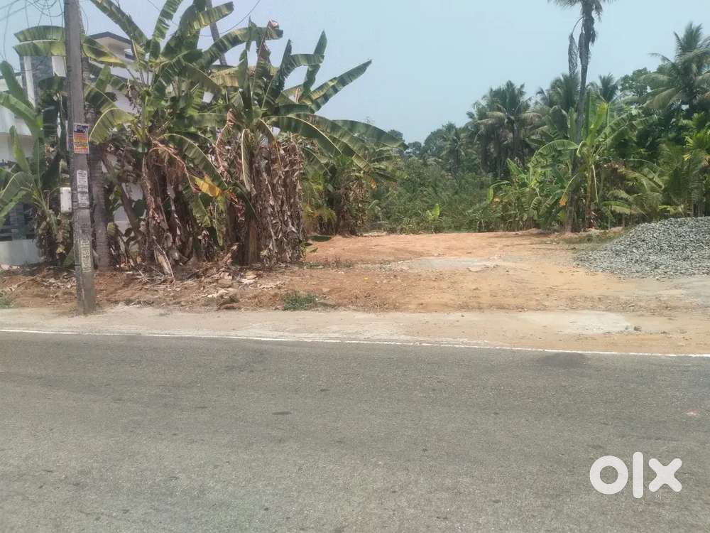 തൊടുപുഴ ടൗൺ ബസ്റുറ്റ് ഫ്രാടായേജ്