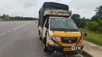 I need tata Ace and Ashok Leyland dost drivers for porter duty