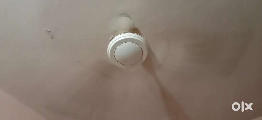 Selling fan new connection 2 fan