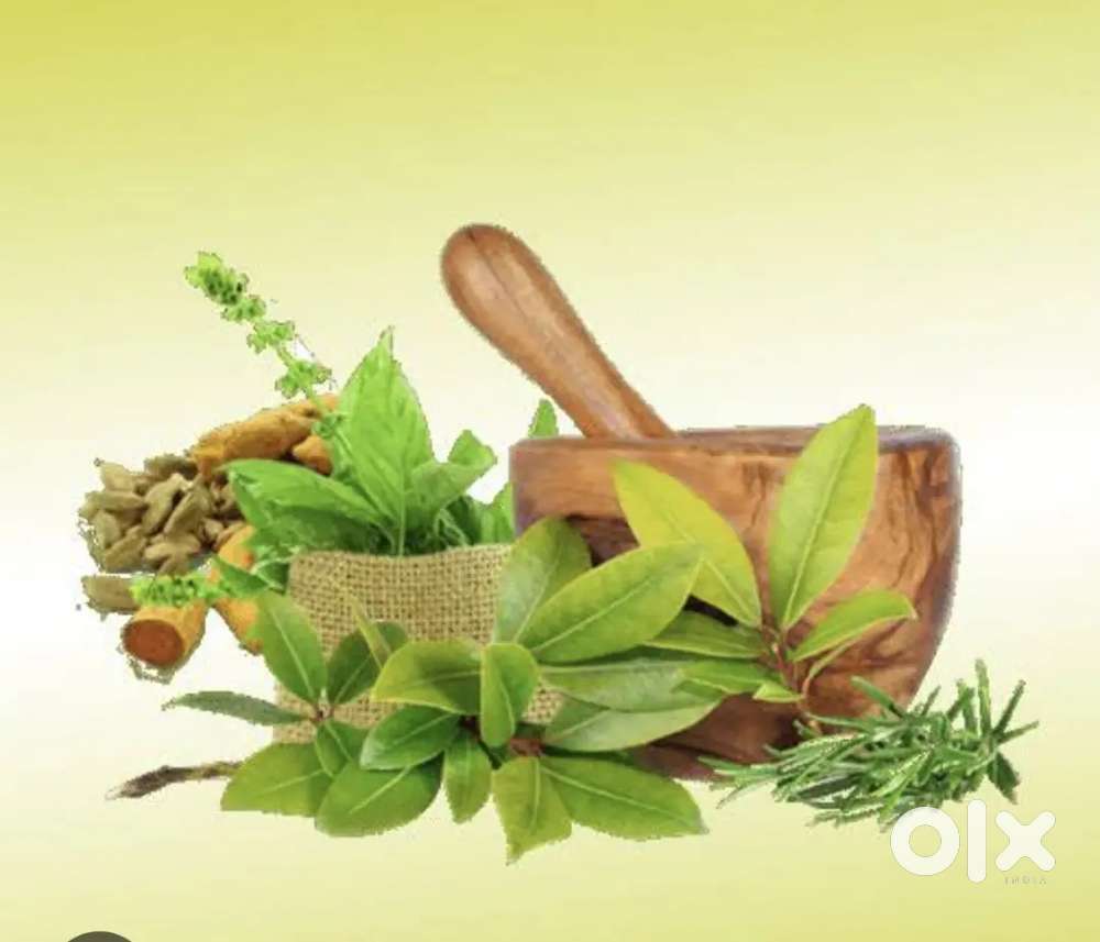 Ayurvedha therapy panchakarma treatment (physiotherapy)