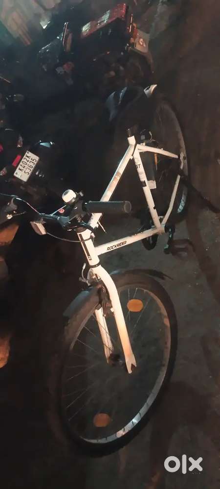 Cycle 2025