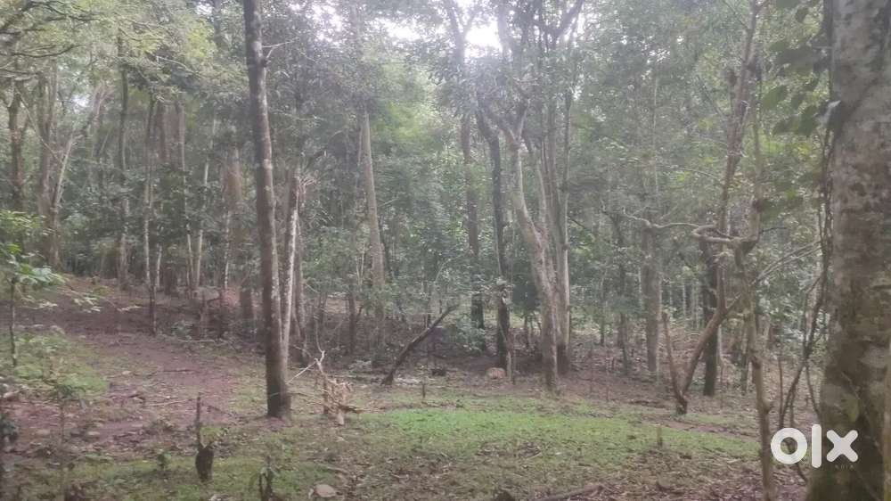 18 Acre agriculture land for sale in kodaikanal mountain range