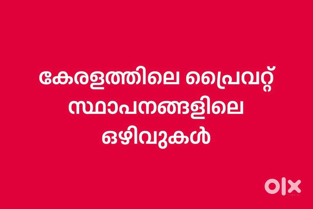 Accountant Aluva BCom Tally