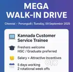 MEGA WALK IN DRIVE