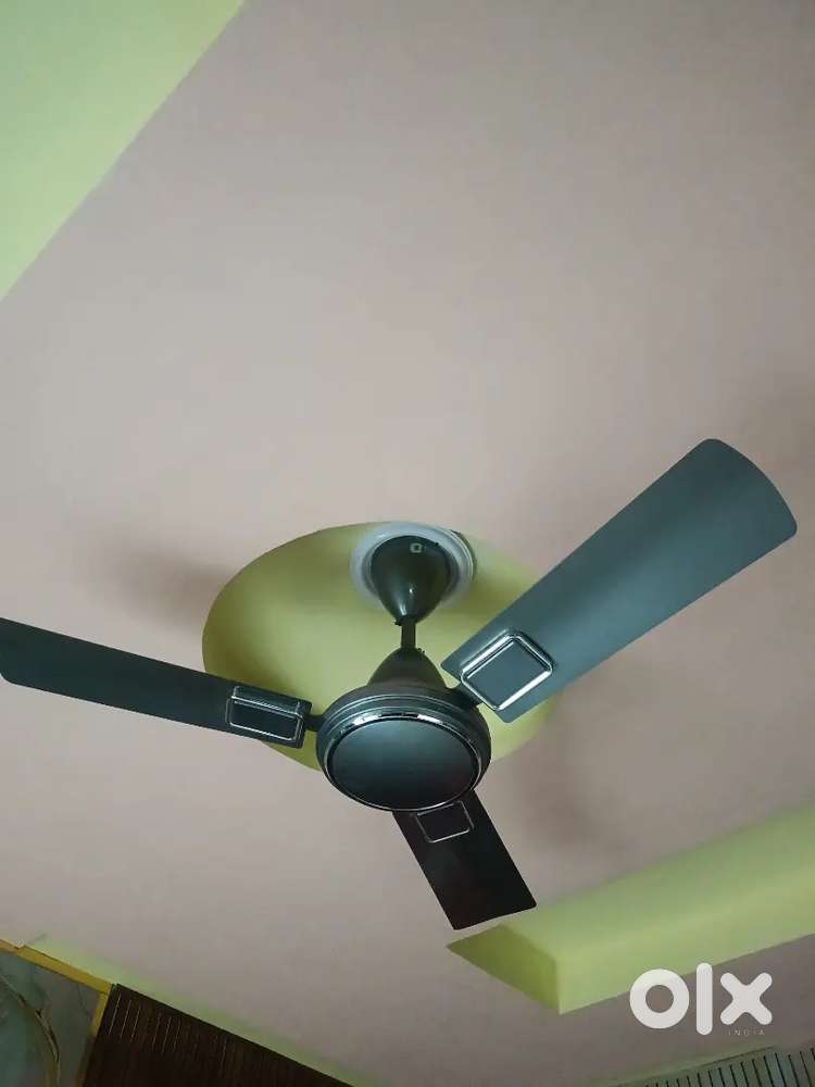 Orient NEW Fan only use 3 months 2 year warranty
