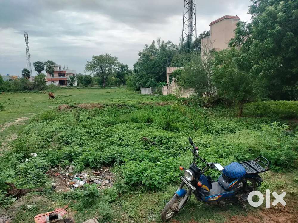 Developing Lands only