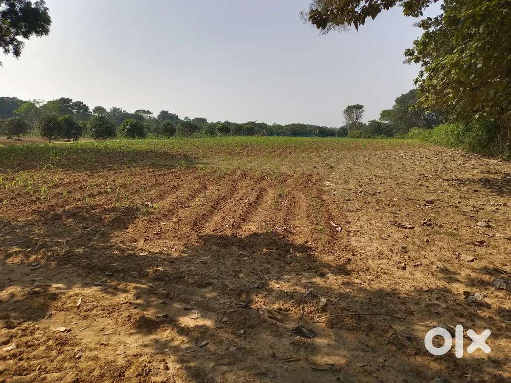 All types of property available here