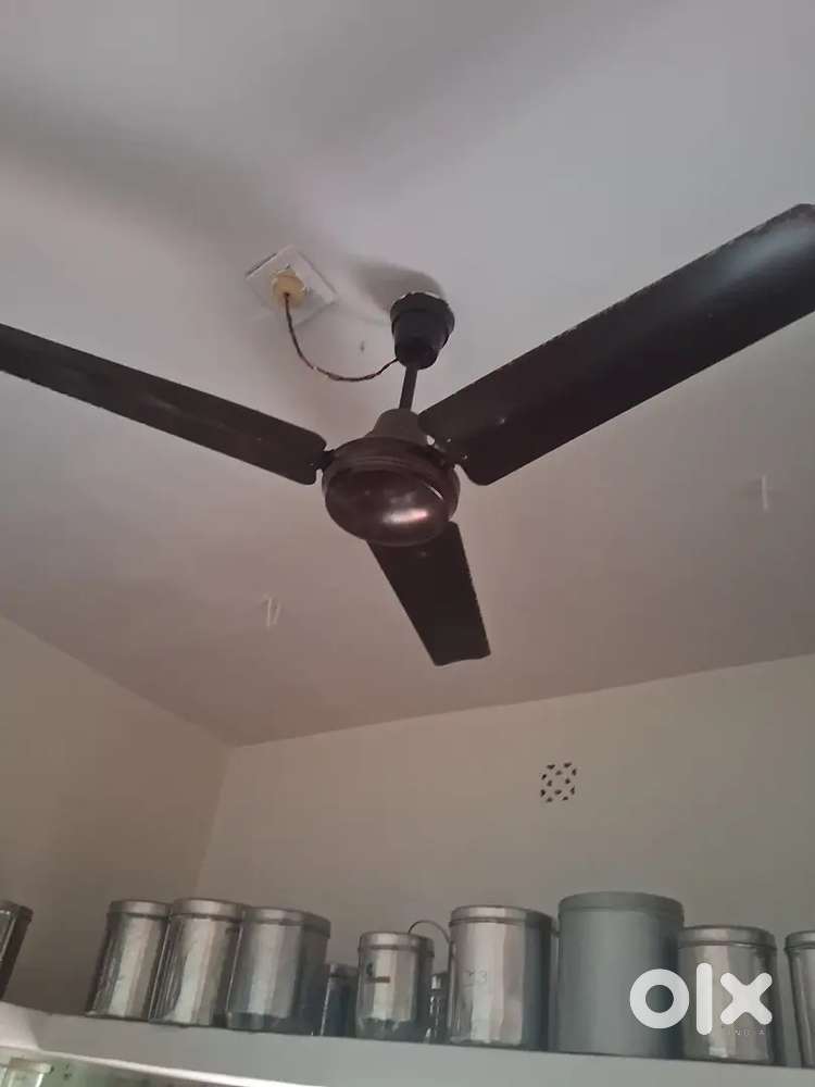 Orient fan in finely running condition. Standard size. Brown colour