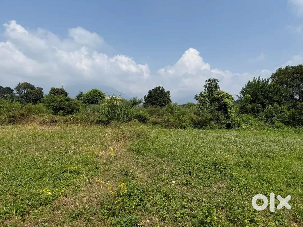 Low budget plot Chakrata highway ke paas 16999/- per gaj