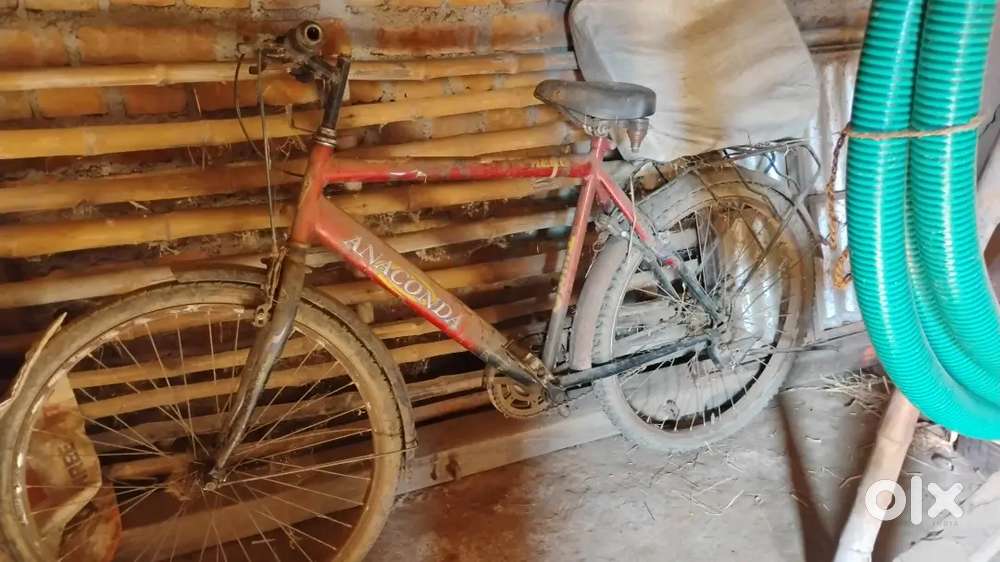 2019 modal and red  colour