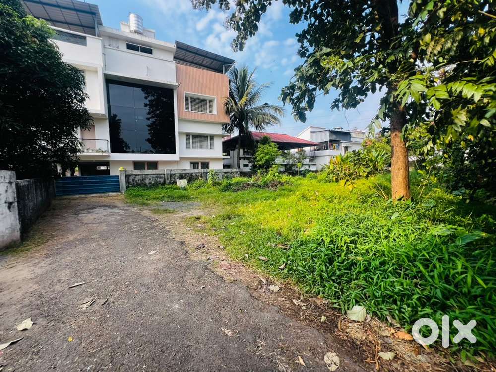 Aluva Paravookavala 9.5cent posh area cent 11 lakh