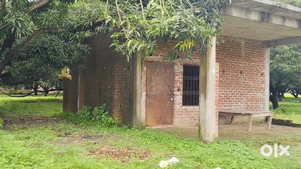 आम  के बाग और आमदनी वाली खेती योग्य जमीन बुक करे