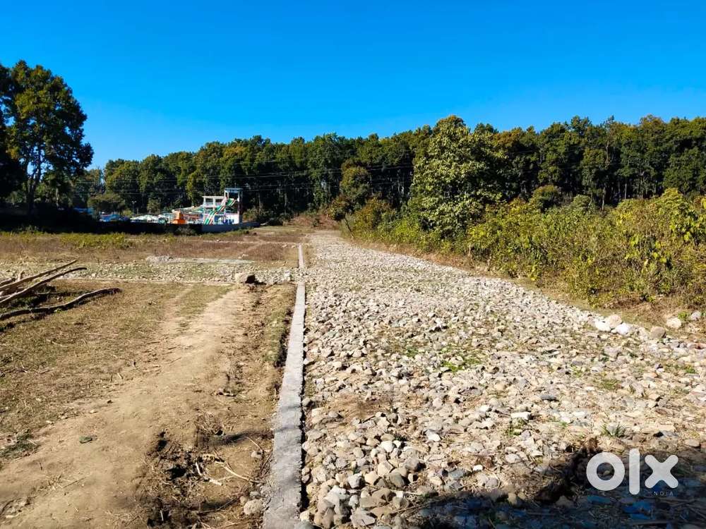 Residential Property