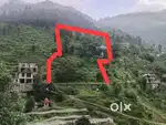 8 Naali Land For Sale at Ramgarh (Road, Light, Water Fruit Ochard)