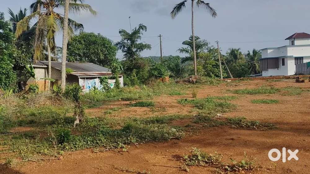 8 Cent plot for sale in Chelannur, Ambalappad