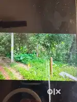 20 cent plot for sale, near KK road, kumily