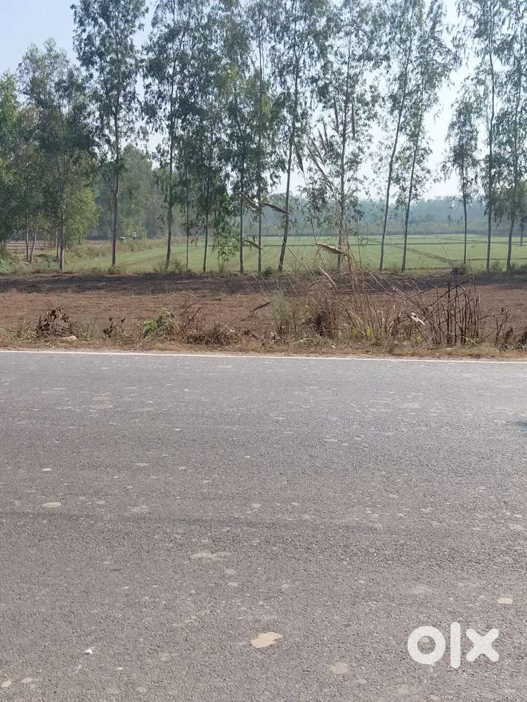 315 sq Gaz plot 30f front on main road Bilaspur Road Dhawni Hasanpur