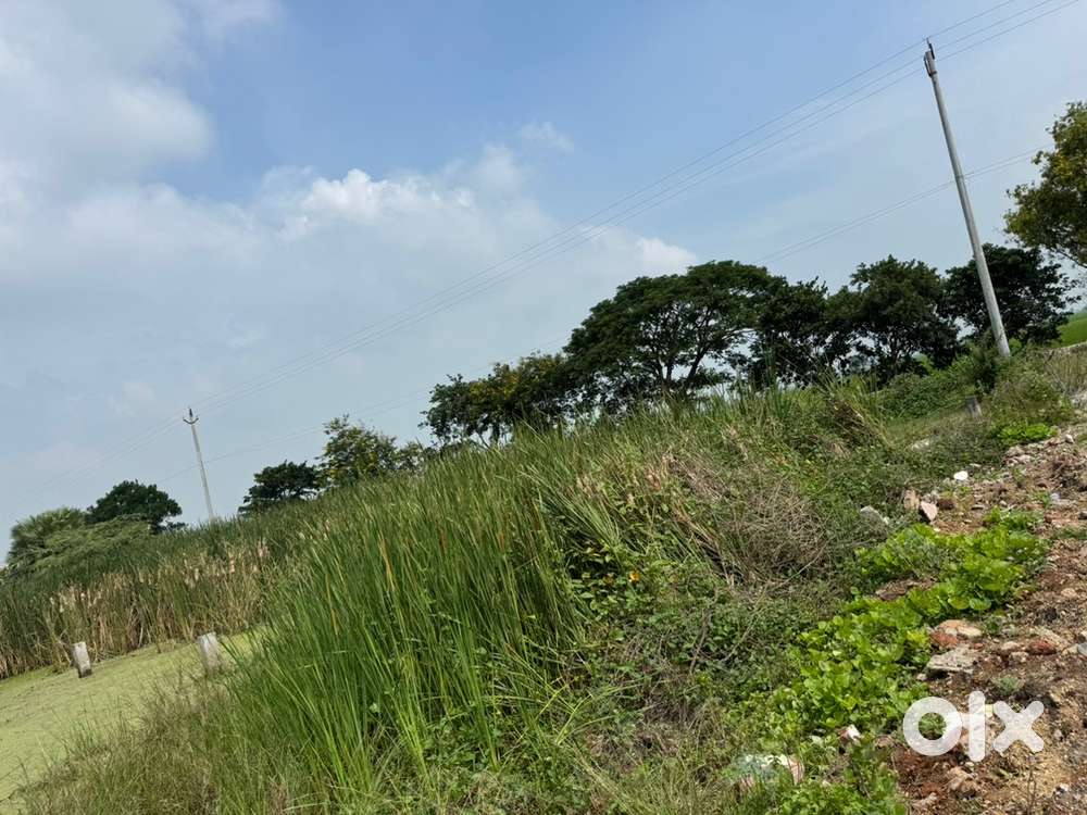 300 SQUARE YARD PLOT IN SALE NAMBURU