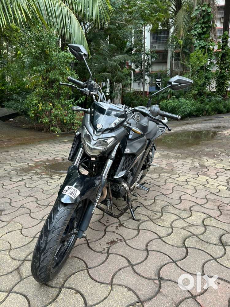 FZ 250 mint condition