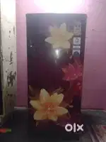 Fridge bachna hai