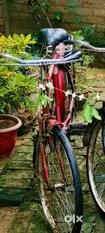 ATLAS GOLDLINE CYCLE