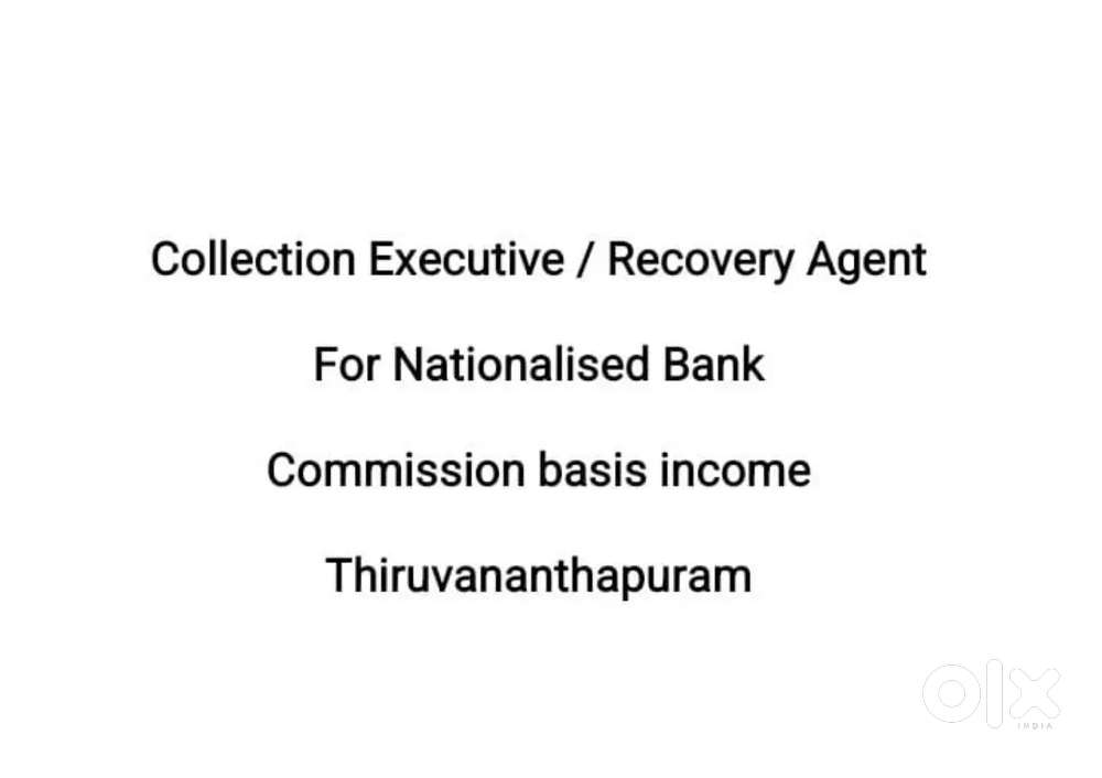 Collection Executive / Recovery Agent
