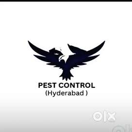 Sun rise pest control