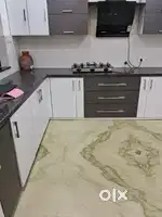 Newly independent 2bhk house for rent in sec 8 complete wooden work
