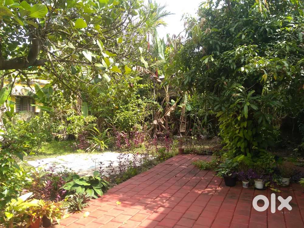 Land for sale(11 cent)