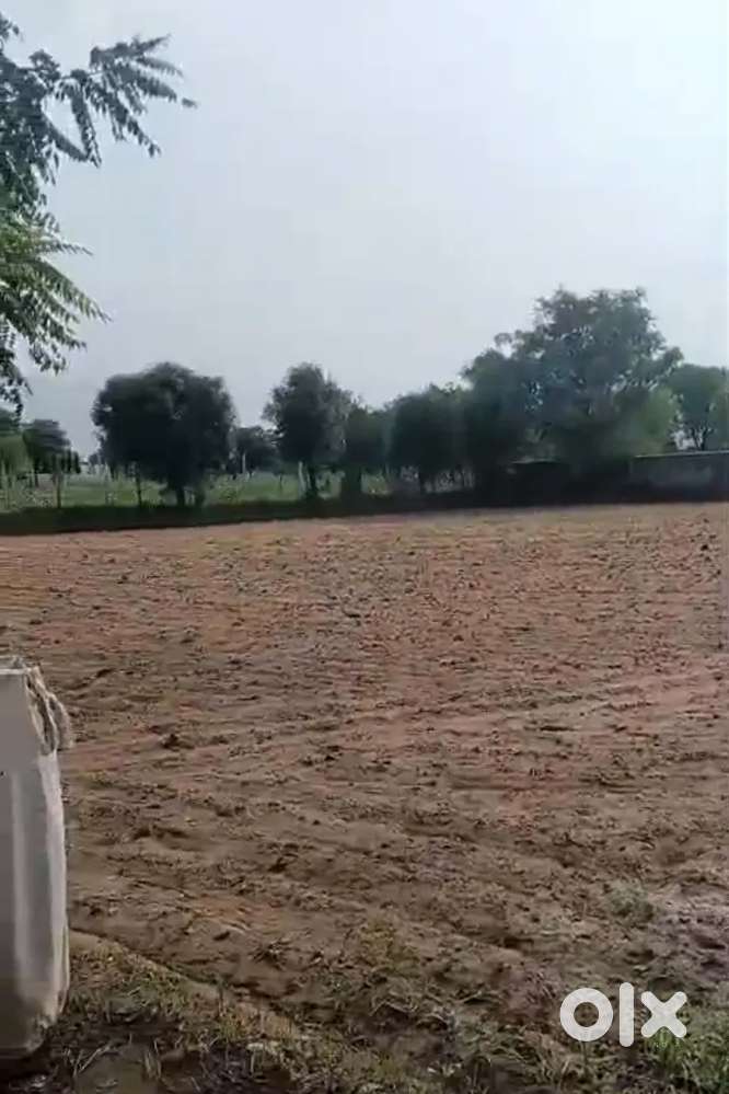 2.5 bheega jamin farmhouse 2 manjil makan 2 borewell 4 traf boundary.