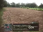 Sell : Agriculture Land With Fencing 26200' Gambhira - Bamangam@30lacs
