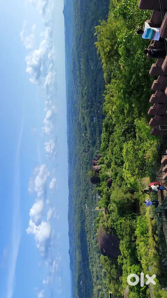 32 cent NH facing Land for Sale at Nemom