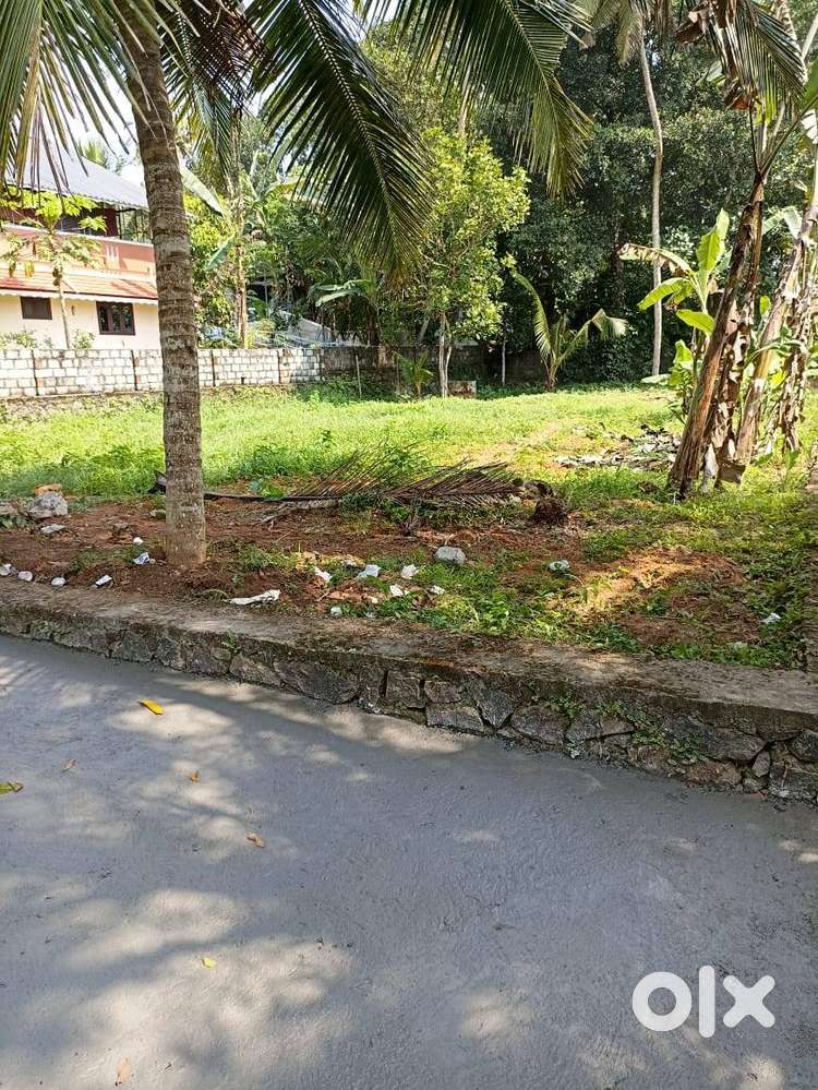 15 Cent Square Plot Near Kizhakenmuthoor