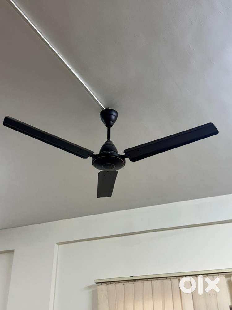Ceiling Fans