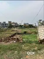 Showroom Plot For Sale On Jhungiya Road In Sec125 Sunny Enclave Kharar