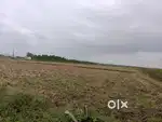 Agree land