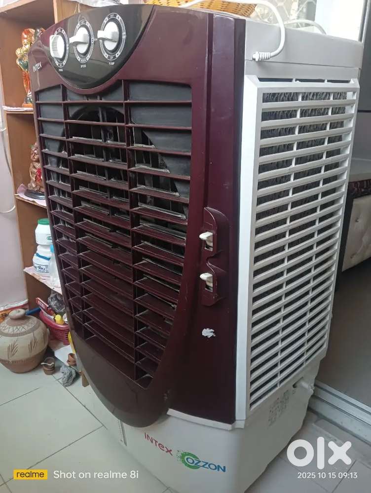 Intex Company Cooler