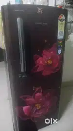 1 year Old fridge