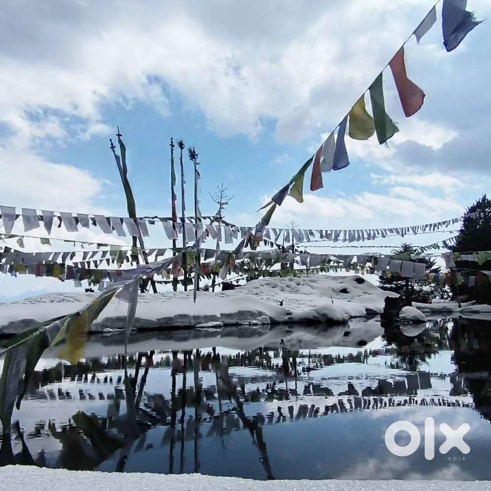 Required a female stuff to look after 8 yrs girl child