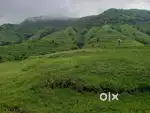PLOT FOR SALE IN WAI MAHABALESHWAR