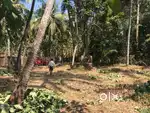 14.5 cents of Residential land for sale