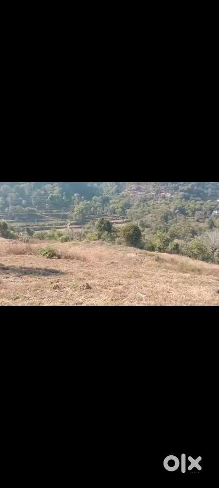 5Bigha plot for sale